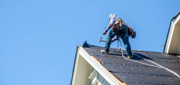 Best Roof Gutter Cleaning  in Coudersport, PA